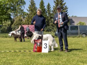 PARIM ISANE 3_Lennox Grafika