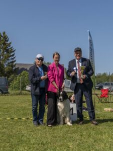 TPV_Terra Haillen Arina Sebastiana