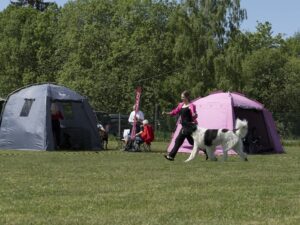 White'n Black Throne Is Mine