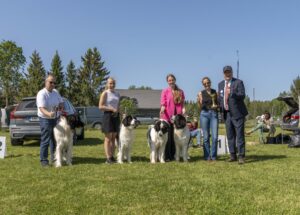 Kasvatajaklass 1_kennel White'n Black