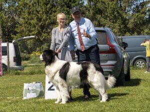 Raigomillin Zorron Legenda