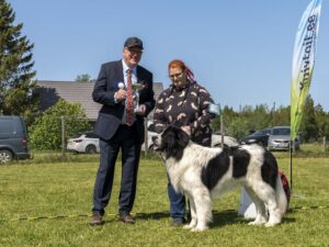 PARIM ISANE 1_Via Falconidu Giuseppe in Love