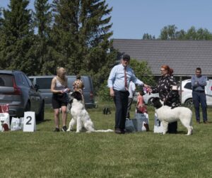 TPK_Ohped dal Fifty Lovely Memories 
VSPK_Ohped dal Fifty Best Buddies